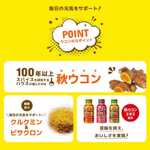 ウコンの力 ドリンク(6本入×10セット(1本100ml))[健康ドリンク]_2