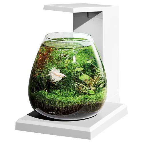 グラスアクア PERCO T-WH(2セット)[水槽]_1