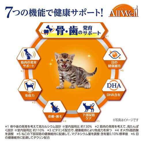 オールウェル キャット ドライ 子猫 フィッシュ 0g 2袋セット キャットフード ドライフード の通販はau Pay マーケット 爽快ドラッグ