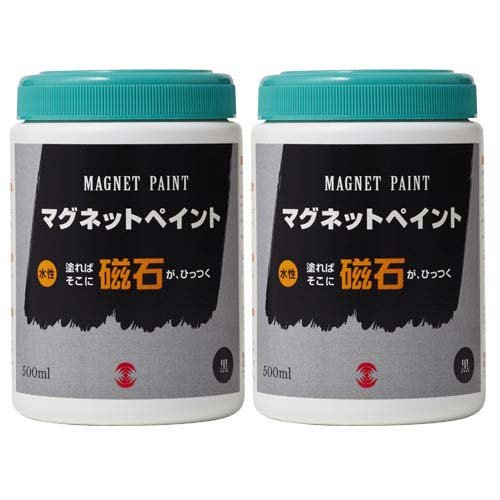 ターナー 磁石えの具 水溶性 黒 MG500031(500ml*2個仕かける)[えの具]