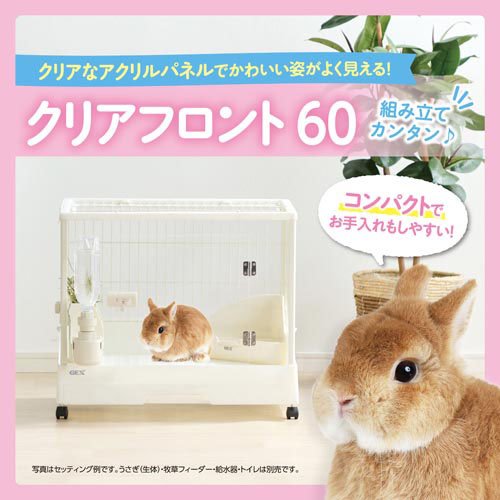 うさぎ GEX ラビんぐ スマートルームクリア【アクリル製ラビット