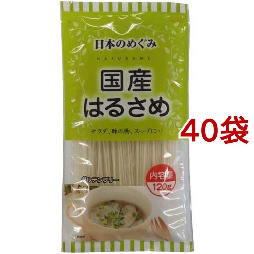 日本のめぐみ 国産はるさめ(120g*40袋セット)[インスタント食品 その他]