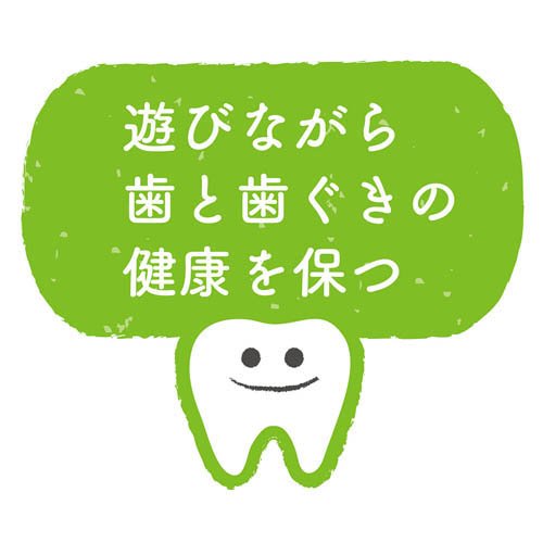 Enjoy！かむボール ラグビー(72セット)[犬のおもちゃ・しつけ]_9