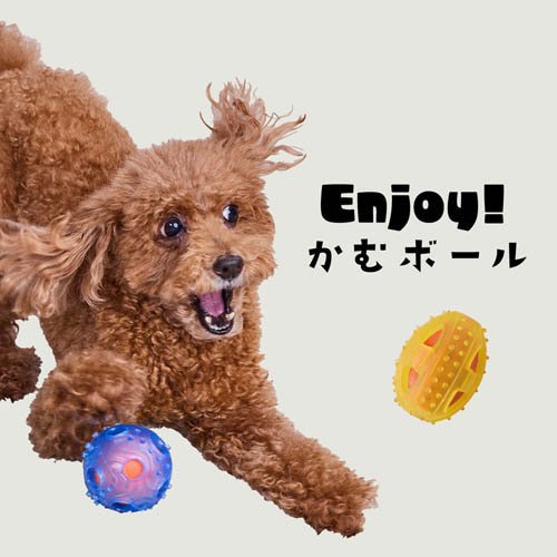 Enjoy！かむボール ラグビー(72セット)[犬のおもちゃ・しつけ]_3