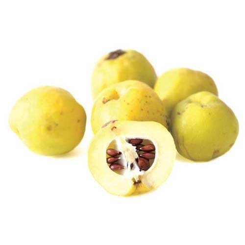 セルソアン UVジェル パーフェクトナチュラル SPF17 PA++(30g)[UV