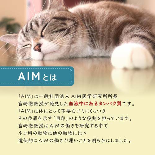 AIM30 カリッとトリーツ 4種のアソート 海の旨みセレクション 猫用(80g×36セット)[猫のおやつ・サプリメント]_2