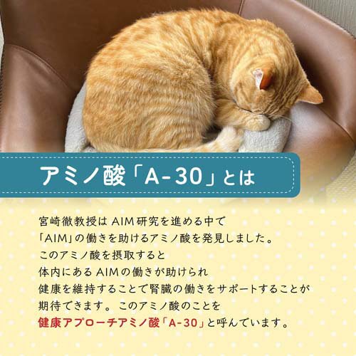 AIM30 カリッとトリーツ 4種のアソート 海の旨みセレクション 猫用(80g×36セット)[猫のおやつ・サプリメント]_3