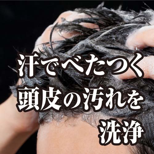 ブラックウルフ ボリュームアップ スカルプ シャンプー 詰め替え(330ml