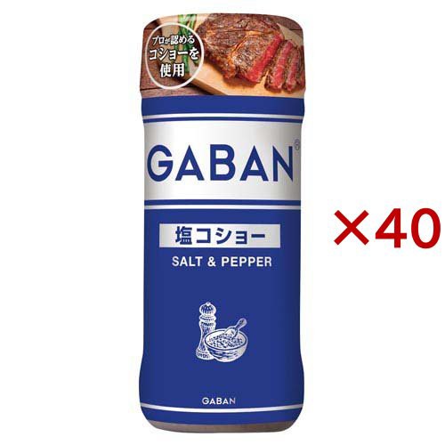 ギャバン 塩コショー(120g×40セット)[塩]