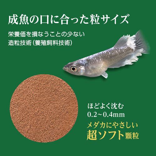 メダカ元気 彩姫 極上(100g×36セット)[観賞魚用 餌(エサ)]_1