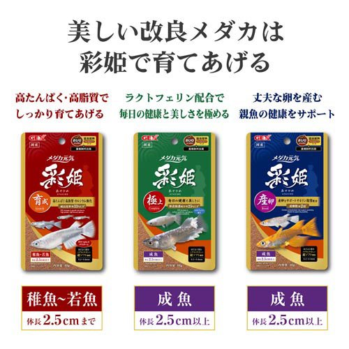 メダカ元気 彩姫 極上(100g×36セット)[観賞魚用 餌(エサ)]_2