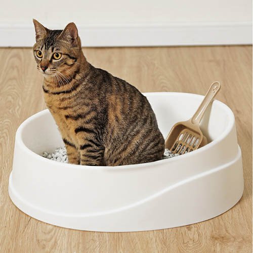 倒れにくいネコのトイレ オープンタイプ OCLP-390 スコップ付 アイリスオーヤマ(10セット)[猫砂・猫トイレ用品]_3