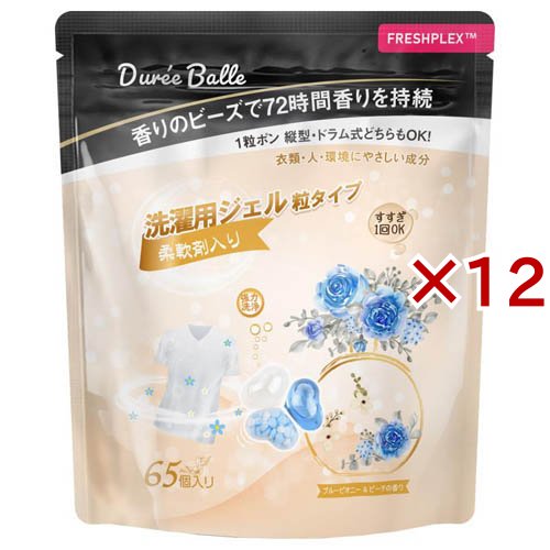 台湾産 特大 約35センチ 法螺貝 ホラ貝 巻貝 魔除け
