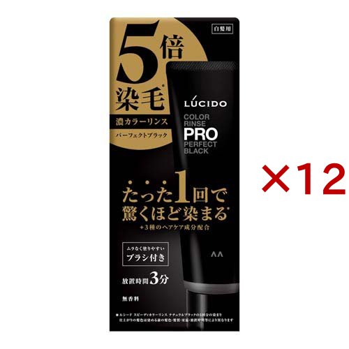 ルシード カラーリンスPRO パーフェクトブラック(120g×12セット)[白髪染め 男性用]の通販は