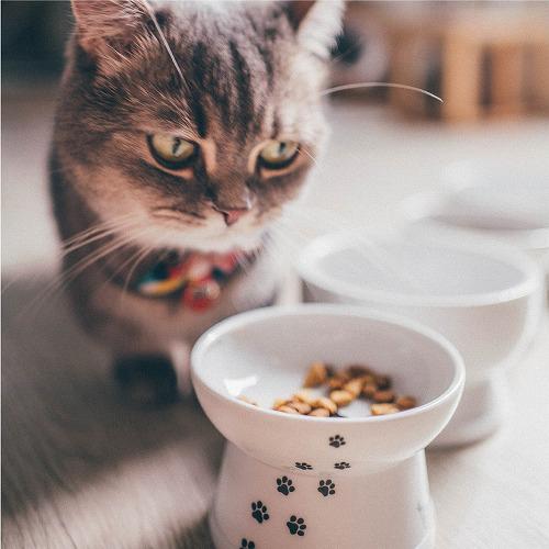 猫壱 ハッピーダイニング 脚付フードボウル 猫柄 シリコン付き(40セット)[ペットの雑貨・ケアグッズ]_1