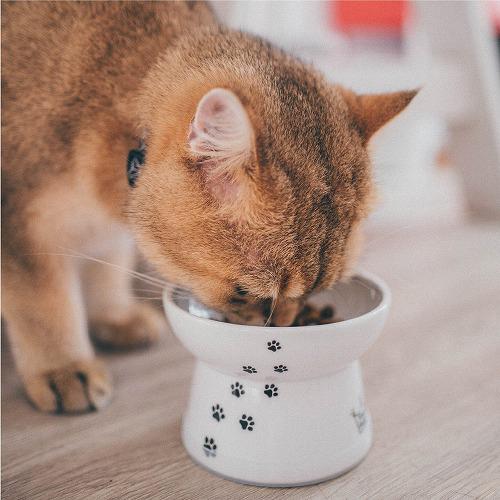 猫壱 ハッピーダイニング 脚付フードボウル 猫柄 シリコン付き(40セット)[ペットの雑貨・ケアグッズ]_2