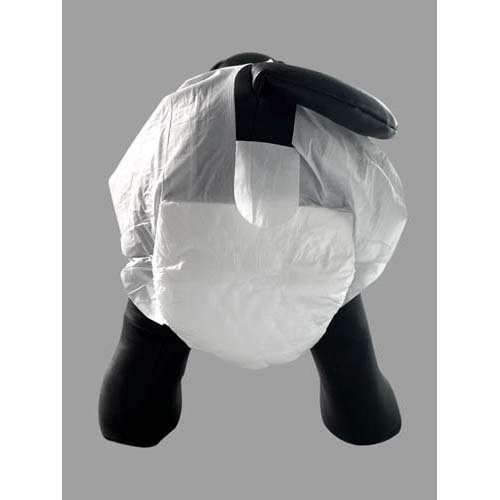 ペット用オムツ Sサイズ(20枚入×24セット)[ペットシーツ・犬のトイレ用品]_3