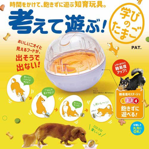 ドギーマン 考えて遊ぶ！ 学びのたまご(12個セット)[犬のおもちゃ・しつけ]_2