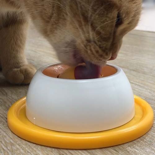 キャティーマン にゃんこのぺろぺろ味覚玉(36セット)[ペットの雑貨・ケアグッズ]_2