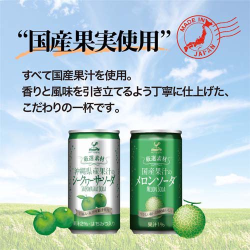 神戸居留地 厳選素材 国産果汁のメロンソーダ 缶(185ml*20本入