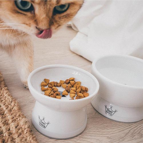 猫壱 ハッピーダイニング 脚付ウォーターボウル 猫柄 シリコン付き(30セット)[ペットの雑貨・ケアグッズ]_1