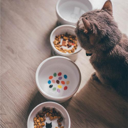 猫壱 ハッピーダイニング 脚付ウォーターボウル 猫柄 シリコン付き(30セット)[ペットの雑貨・ケアグッズ]_2