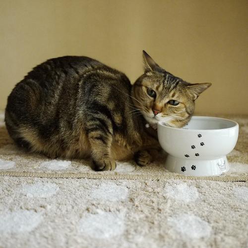 猫壱 ハッピーダイニング 脚付ウォーターボウル 猫柄 シリコン付き(30セット)[ペットの雑貨・ケアグッズ]_3