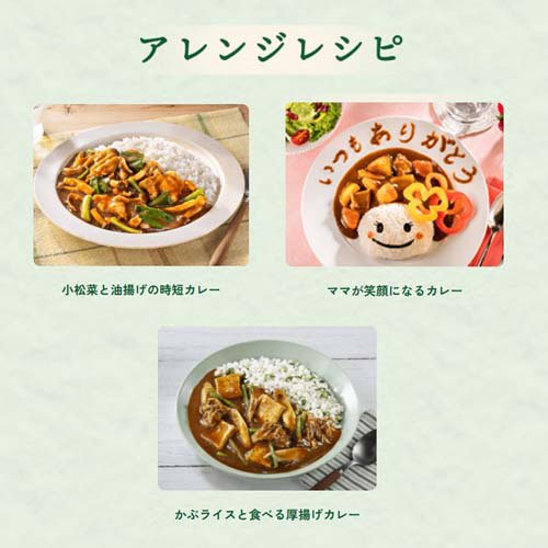 こくまろカレー 中辛(145g×60セット)[調理用カレー]_4