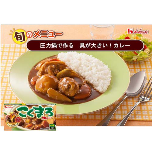 こくまろカレー 中辛(145g×60セット)[調理用カレー]_7
