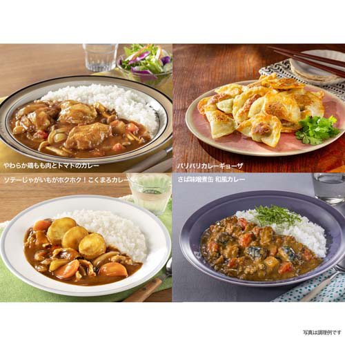 こくまろカレー 中辛(145g×60セット)[調理用カレー]_8