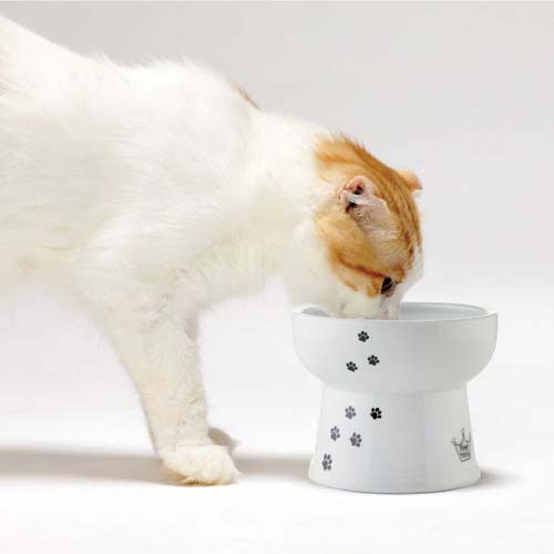 猫壱 ハッピーダイニング 脚付ウォーターボウルハイタイプ 猫柄 シリコン付き(20セット)[ペットの雑貨・ケアグッズ]_3