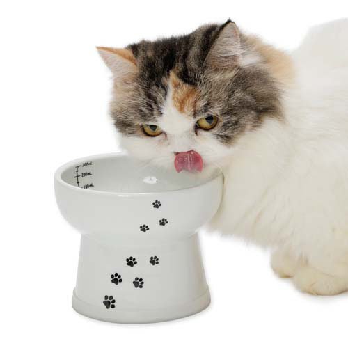 猫壱 ハッピーダイニング 脚付ウォーターボウルハイタイプ 猫柄 シリコン付き(20セット)[ペットの雑貨・ケアグッズ]_4