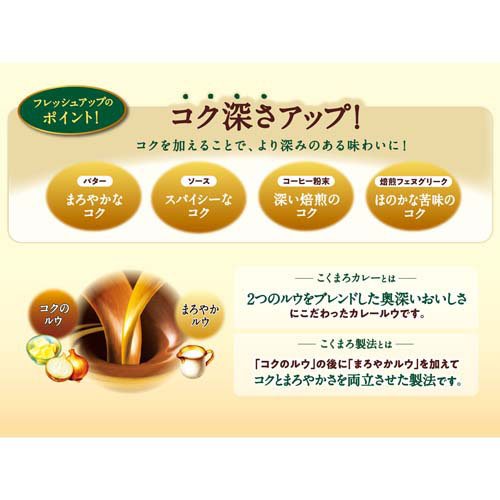 こくまろカレー 辛口(145g×60セット)[調理用カレー]_2