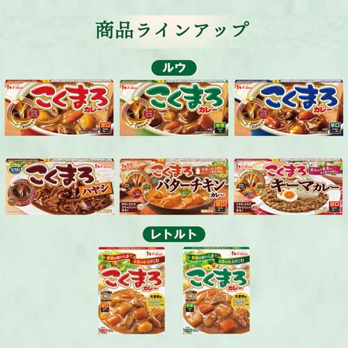 こくまろカレー 辛口(145g×60セット)[調理用カレー]_3