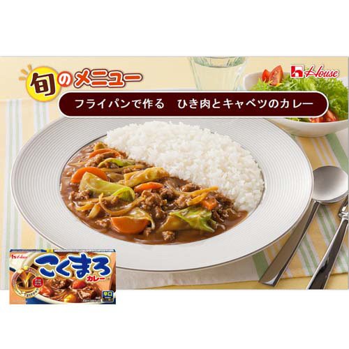こくまろカレー 辛口(145g×60セット)[調理用カレー]_5