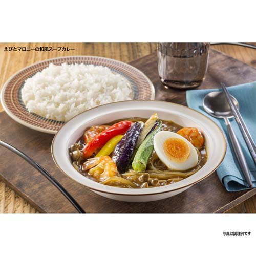 こくまろカレー 辛口(145g×60セット)[調理用カレー]_7
