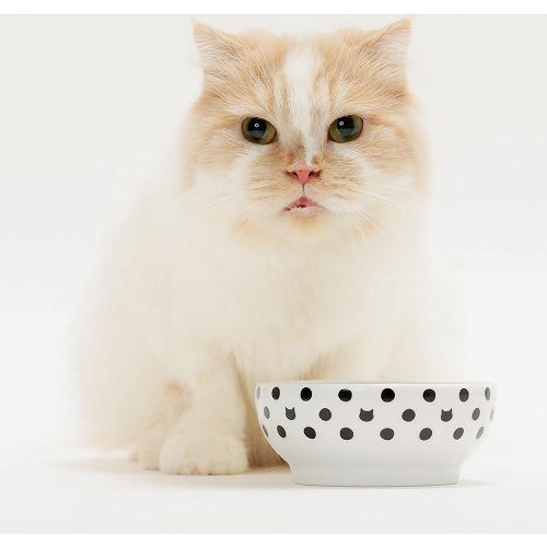 猫壱 ハッピーダイニング フードボウル 水玉(30セット)[ペットの雑貨・ケアグッズ]_4