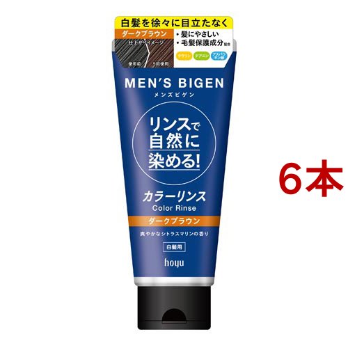 メンズビゲン カラーリンス ダークブラウン(160g*6本セット)[白髪染め 男性用]