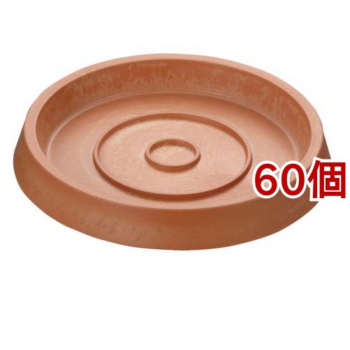 ボタニー プレート 12型 オレンジ(60個セット)[鉢・プランター・受皿]の通販は