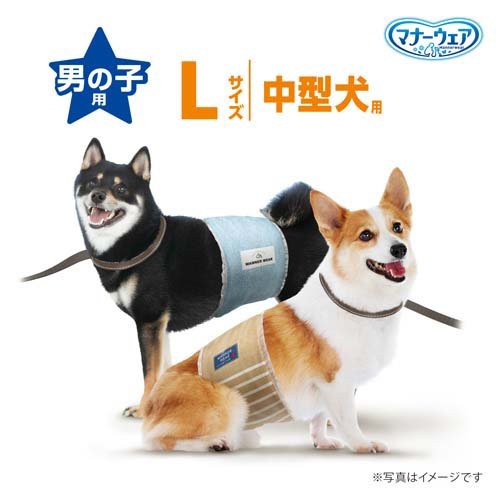 マナーウェア 男の子用 Lサイズ 迷彩 デニム 40枚入 8袋 ペットシーツ 犬のトイレ用品 の通販はau Pay マーケット 爽快ドラッグ