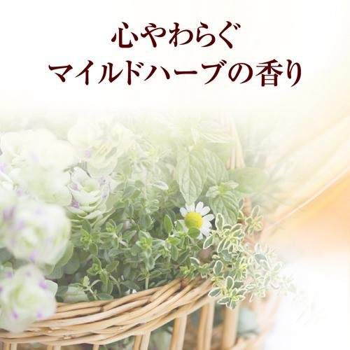 50の恵 髪と頭皮の養潤シャンプー つめかえ用(330ml×12セット)[シャンプー その他]_2