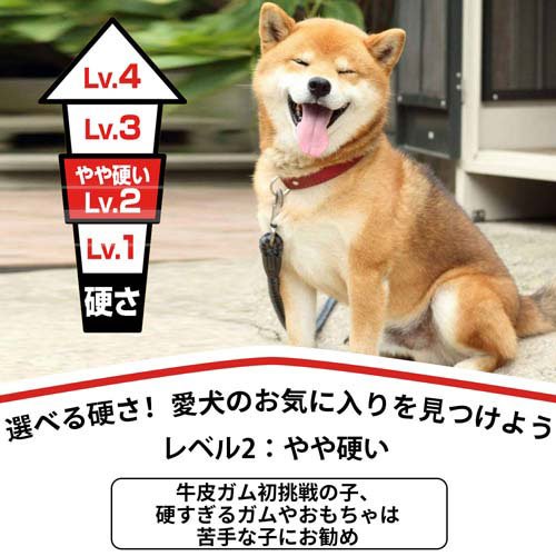 ディンゴ チキンスティック スリム(22本入×24セット)[犬のおやつ・サプリメント]_4