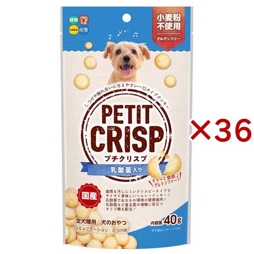 プチクリスプ 乳酸菌入り 犬用(40g×36セット)[犬のおやつ・サプリメント]