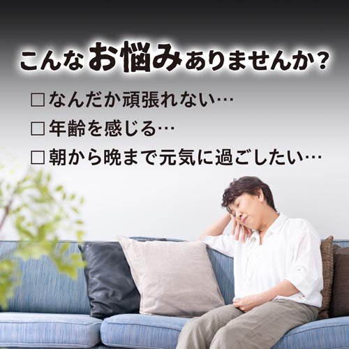 熟成黒にんにく黒酢もろみ 約30日分(90粒×5袋セット)[にんにく(ニンニク) サプリメント]_1
