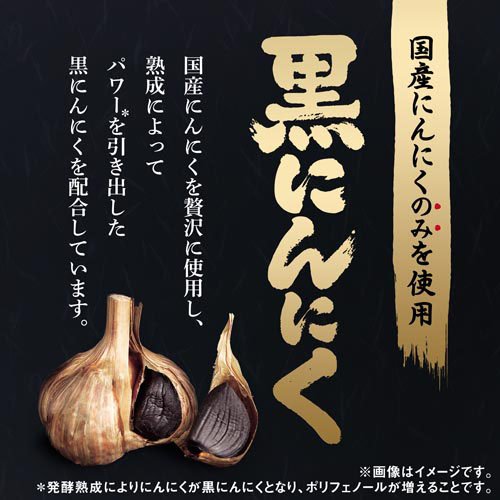 熟成黒にんにく黒酢もろみ 約30日分(90粒×5袋セット)[にんにく(ニンニク) サプリメント]_3