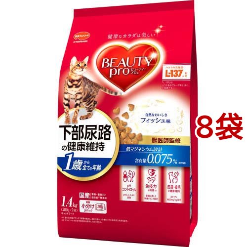(未使用･未開封品)松原健之ファーストコンサート　ｉｎ　日本青年館 [DVD] 松原健之ファーストコンサート in 日本青年館 中古DVD