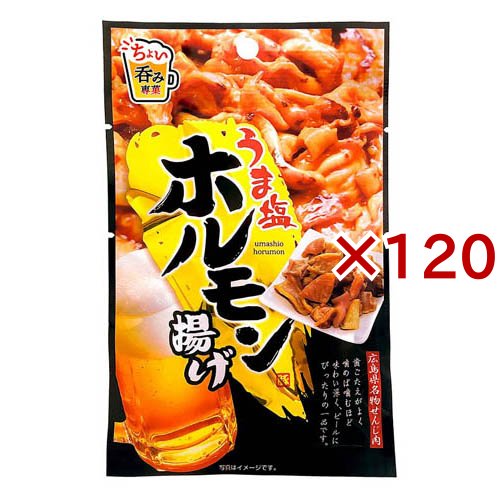 うま塩ホルモン揚げ(15g×120セット)[お菓子 その他]