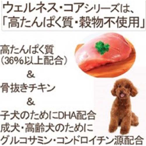 ウェルネス 中核グループ 小型犬用 意気地無し 全年歳用(800g×8仕かける)[ドッグフード(素っ気ないボンネット)]