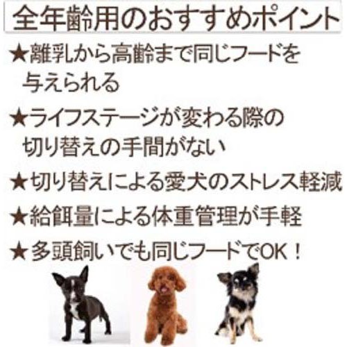 ウェルネス 中核グループ 小型犬用 意気地無し 全年歳用(800g×8仕かける)[ドッグフード(素っ気ないボンネット)]