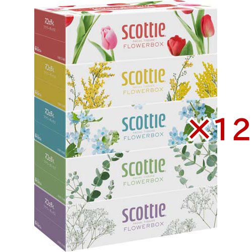 スコッティ ティッシュ フラワーボックス(5箱パック×12セット(1箱500枚(250組)))[箱ティッシュ]
